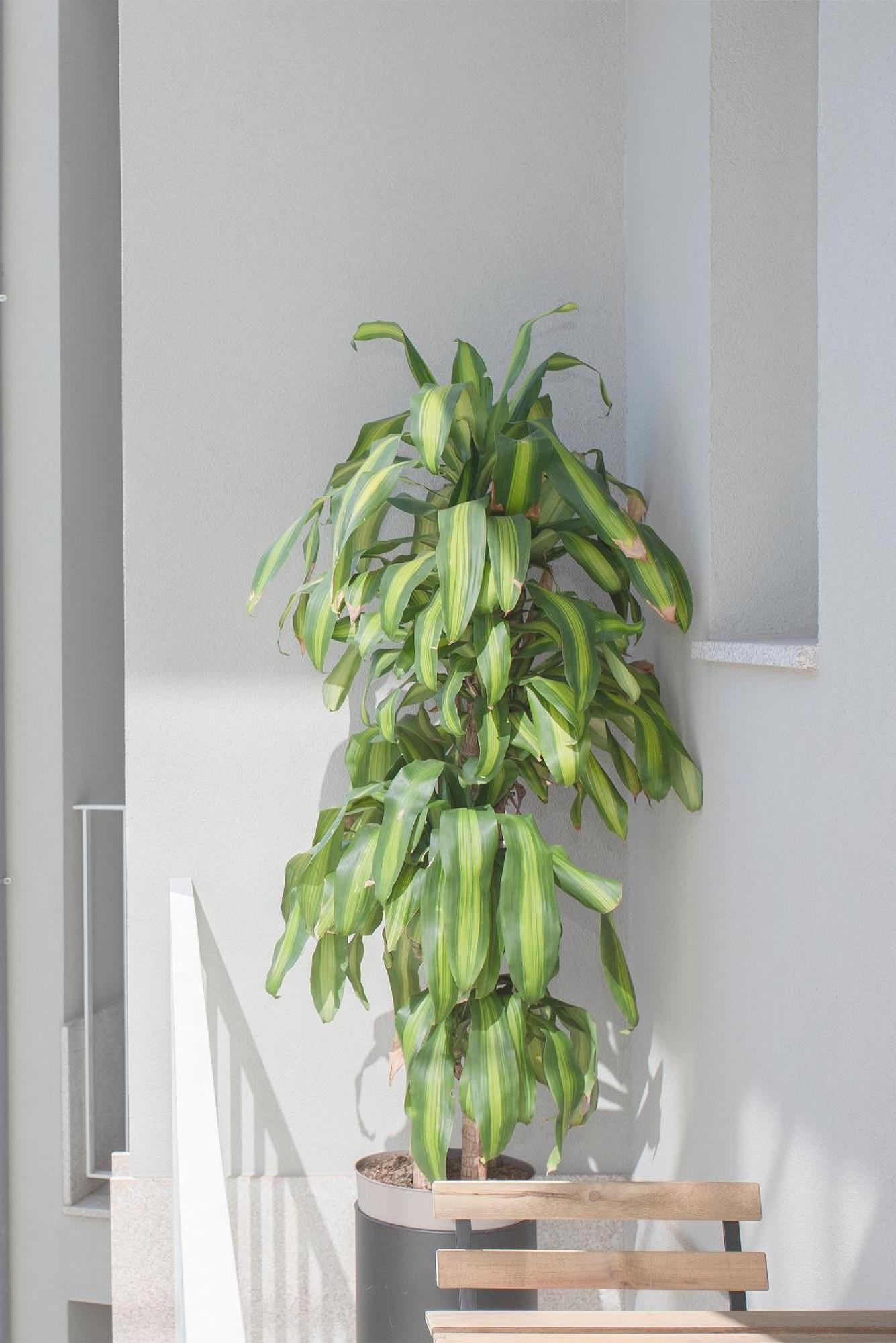 Liiiving In Porto - Art Design Apartment Екстериор снимка